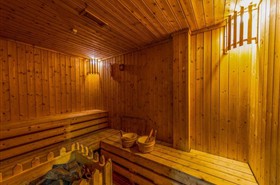 总统八号游轮桑拿房