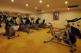 星际领航号游轮健身房