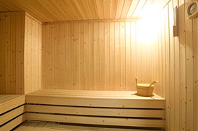 星际领航号游轮桑拿房